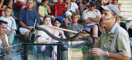 Hartleys Crocodile 5