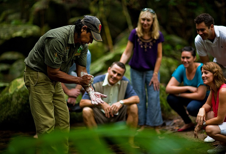 Daintree Bush DUT