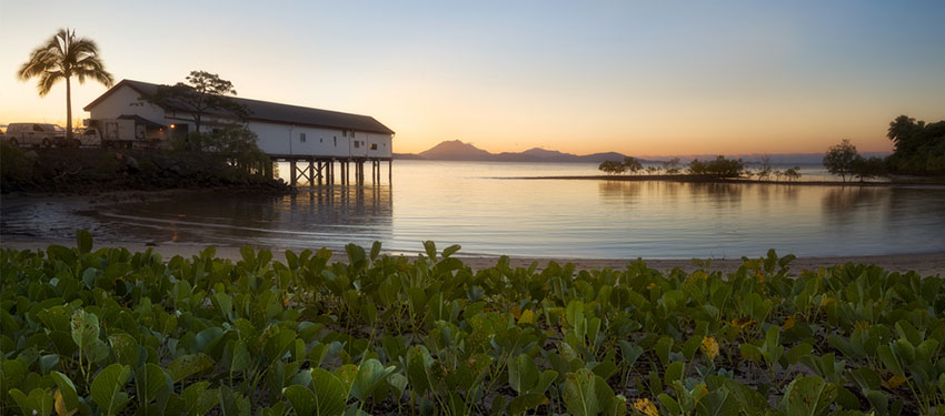 Best time to visit Port Douglas