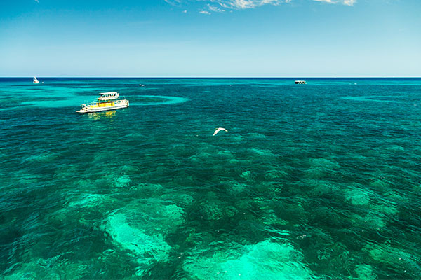 Cairns Weather Chart