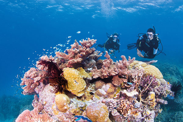 10 Ways To Experience The Great Barrier Reef 69F