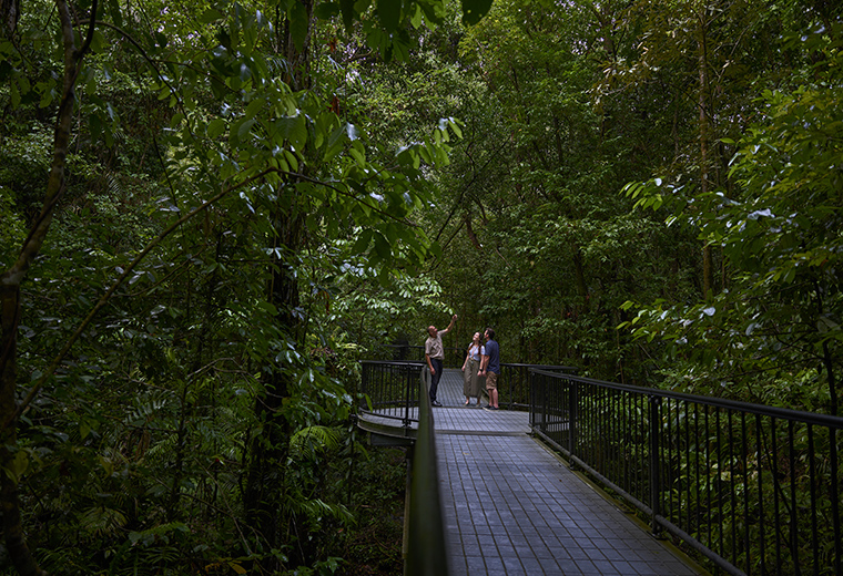 Mossman Gorge Tour