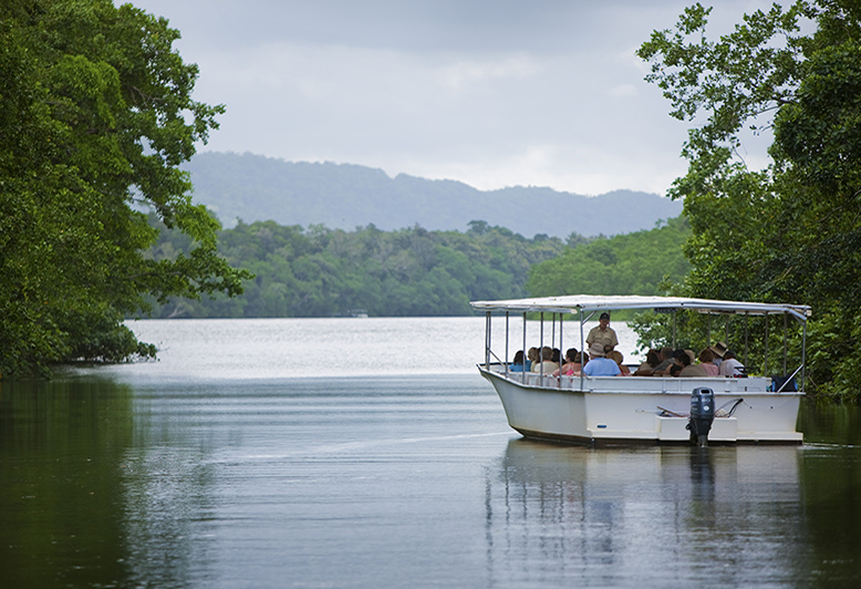 Daintree River Cruise