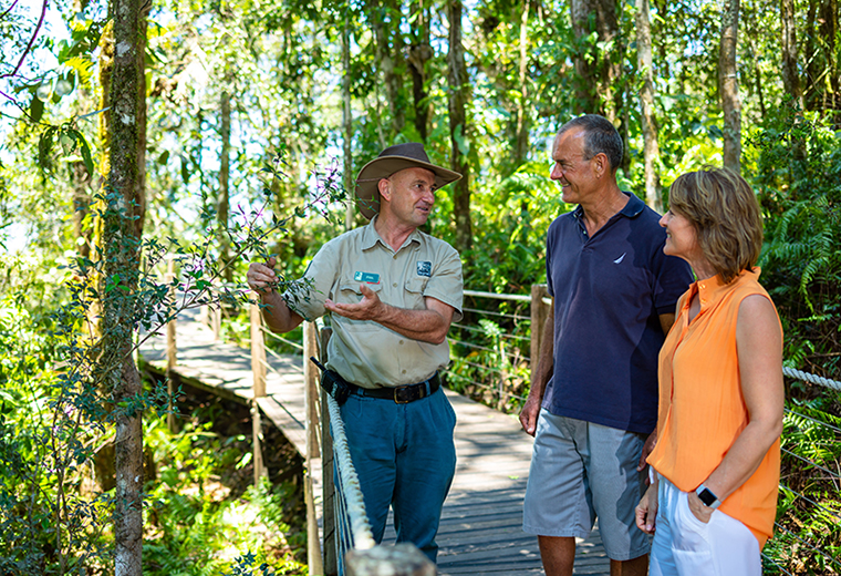 Half Day Kuranda, Skyrail & Scenic Rail