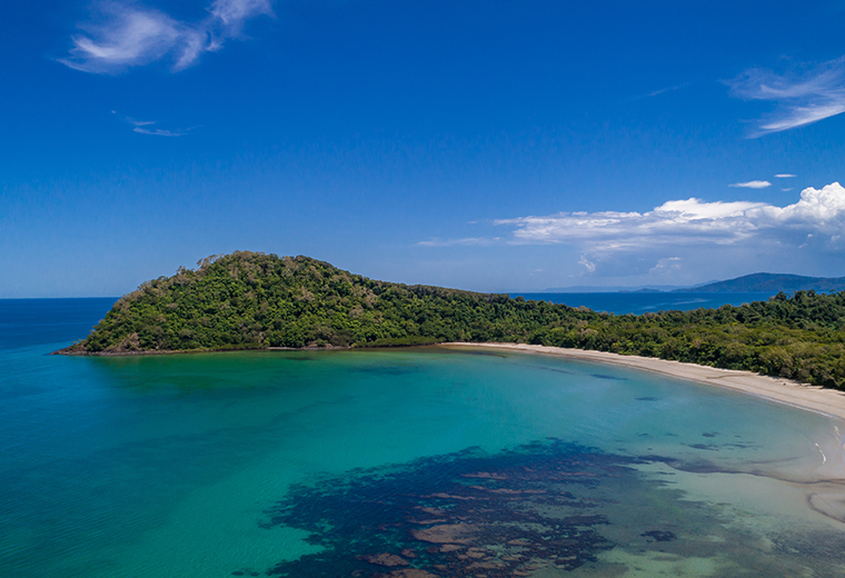 down under tours cape tribulation