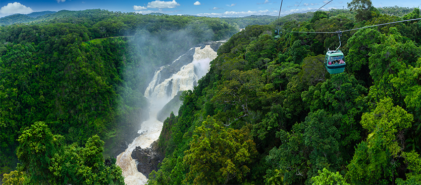 View of Barron Gorge with Green Rainforest Surround - large waterfall raging down through the gorge. Skyrail Gondola travelling along cableway above rainforest canopy.