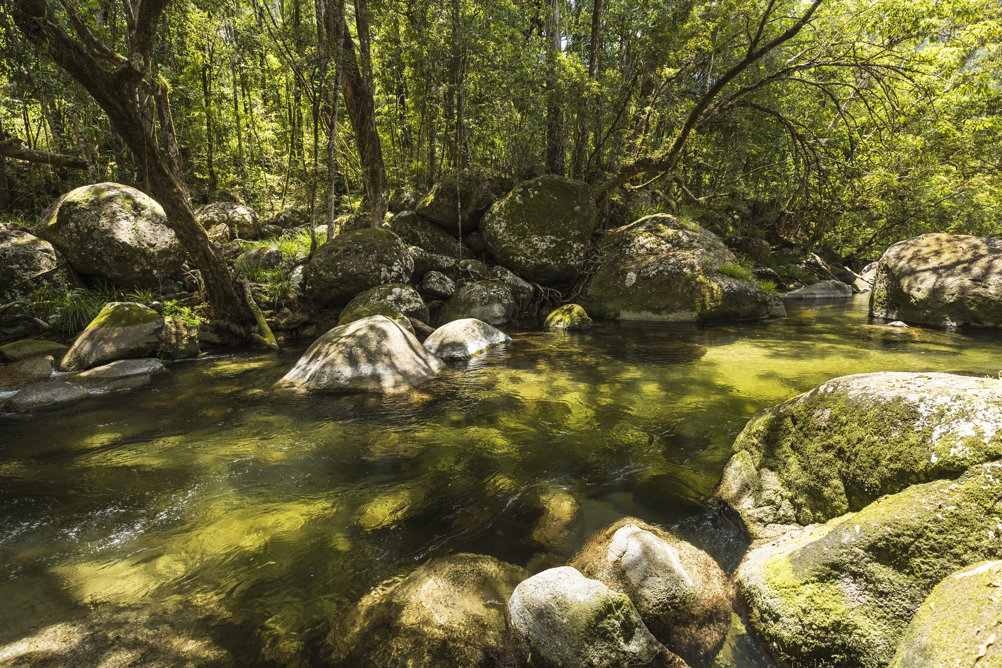 Down Under Tours, Mossman, QLD