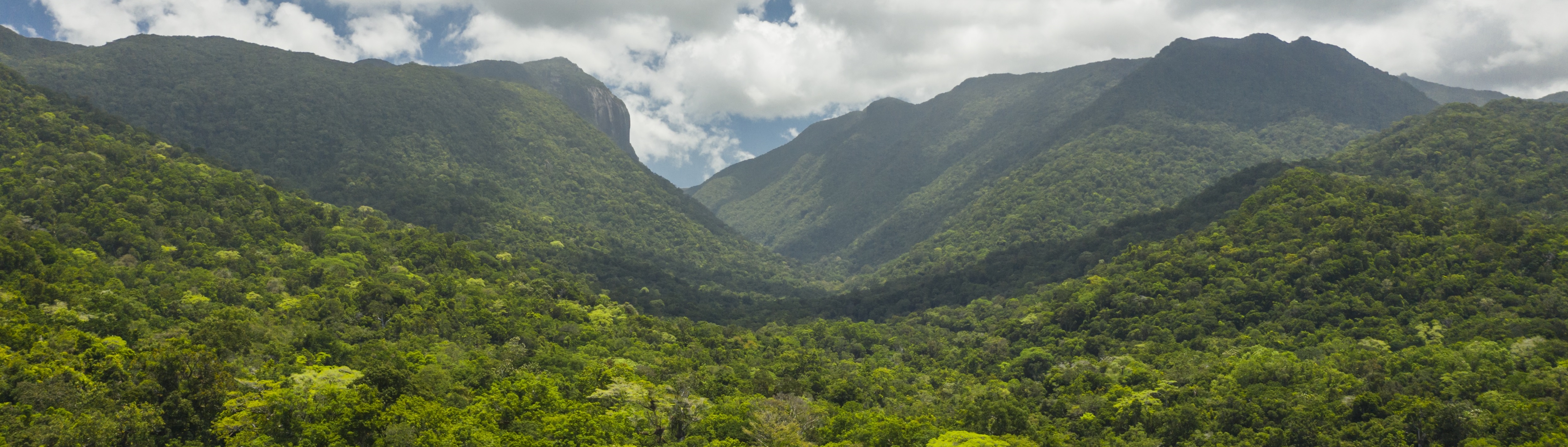 Cape Tribulation, Daintree & Mossman