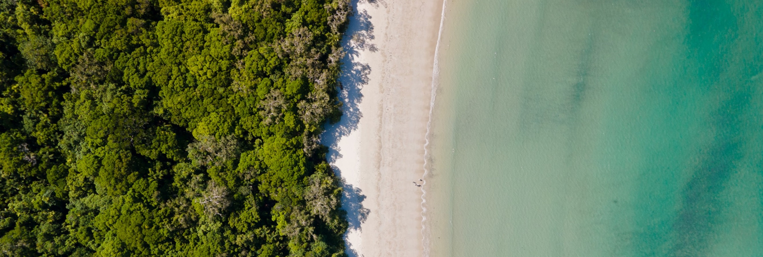 Whens The Best Time To Visit Cairns, Australia