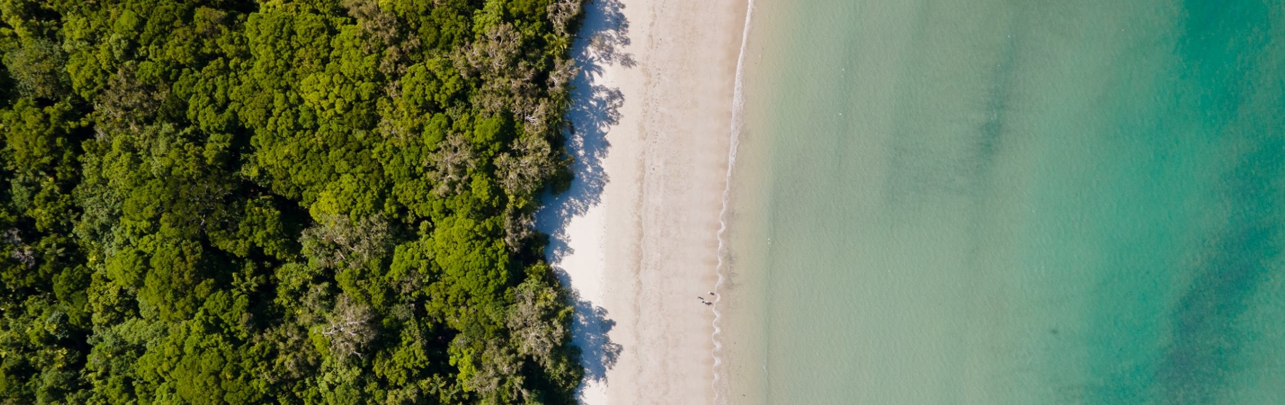 Cape Tribulation, Daintree & Mossman