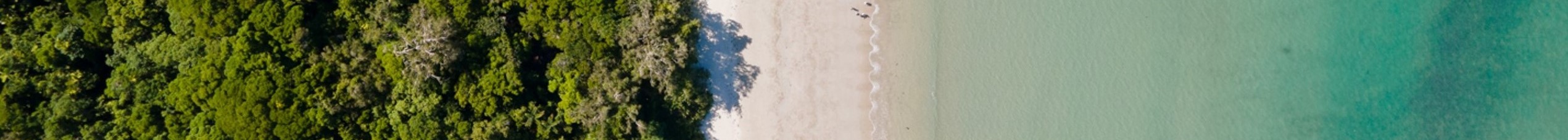 Rainforest-and-Reef-Pano NARROW