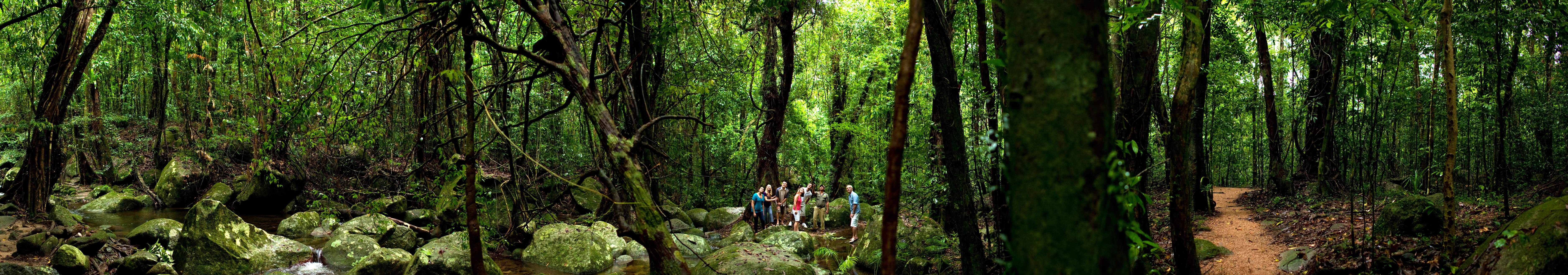 Pano 100323-8479 Mossman Gorge Tour