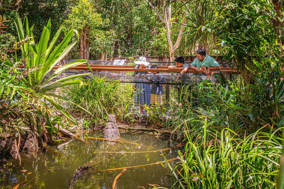 Hartleys Crocodile Tour Family Friendly Tours