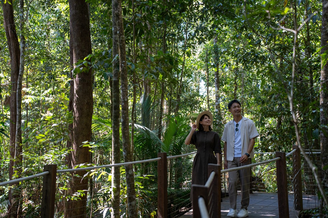 Kuranda Skyrail Rainforest Cableway Barron Gorge Rainforest Walk